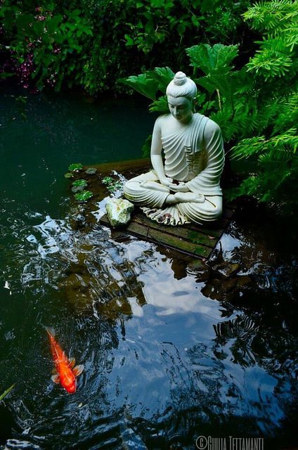 Koi carp and Siddharta | Zen Garden Designs & Ideas
