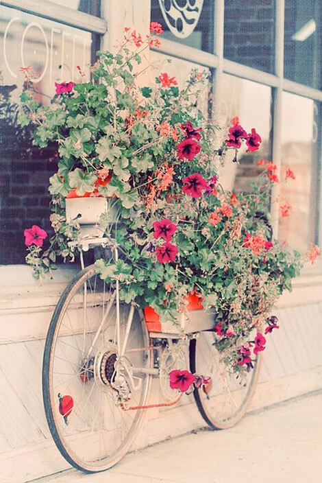 Bicycle With Just Tires Peeping Out | Bicycle Garden Planter Ideas For Backyards | FarmFoodFamily