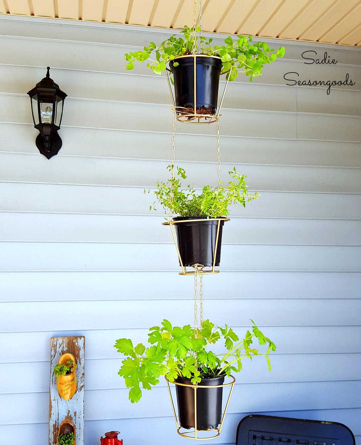 Lampshades Repurposed Into Hanging Herb Baskets | Low-Budget DIY Garden Pots and Containers