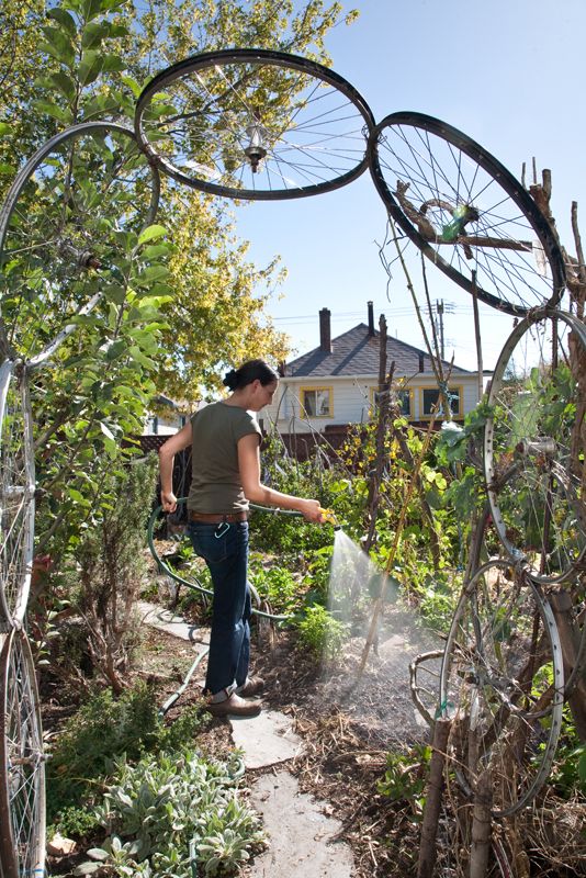 Bike Wheels | Bicycle Garden Planter Ideas For Backyards | FarmFoodFamily