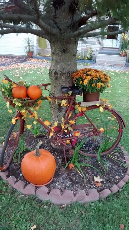 Ready for a bike ride | Bicycle Garden Planter Ideas For Backyards | FarmFoodFamily