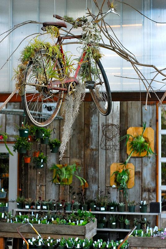 Flying Bicycle | Bicycle Garden Planter Ideas For Backyards | FarmFoodFamily