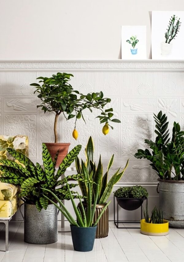 53+ Smart Mini Indoor Garden Ideas DIY - FarmFoodFamily.com