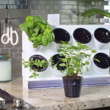 Watex Pixel Garden Desktop, Kitchen Farm | Smart Mini Indoor Garden Ideas DIY - FarmFoodFamily.com