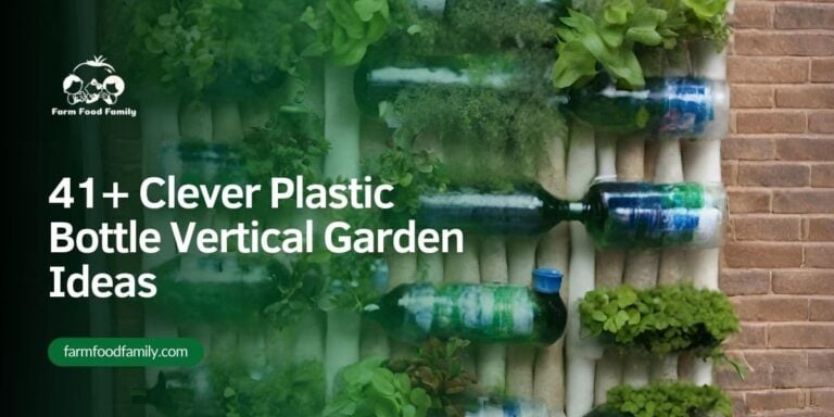 41+ Clever Plastic Bottle Vertical Garden Ideas