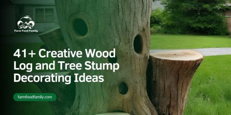 41+ Creative Wood Log & Tree Stump Decorating Ideas and Designs