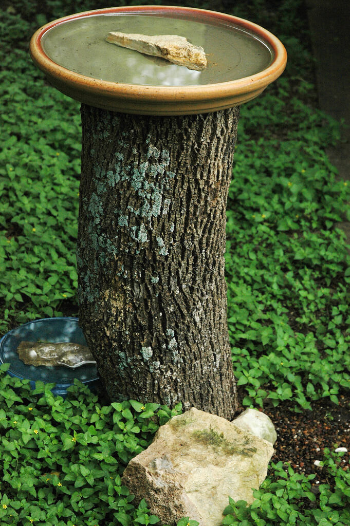 Bird Bath | Tree Stump Decorating Ideas | How To Decorate a Tree Stump In Landscape