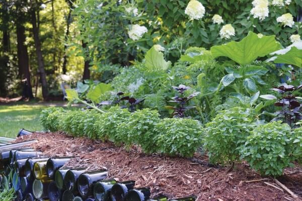 Growing Edible Edges | Edging Plants for Kitchen Gardens - FarmFoodFamily.com