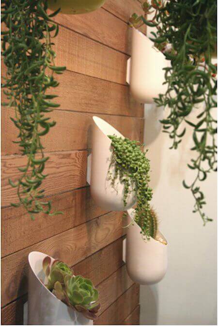 Succulent in Wall Planters | Creative Plastic Bottle Vertical Garden Ideas - FarmFoodFamily.com