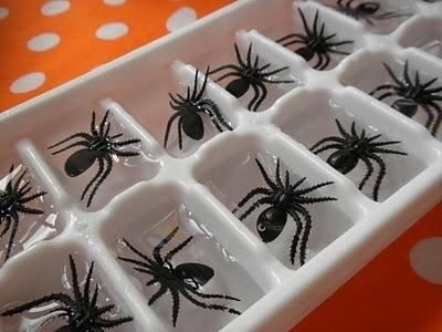 Spider Ice Cubes | Last-Minute Halloween Crafts and Hacks | FarmFoodFamily.com