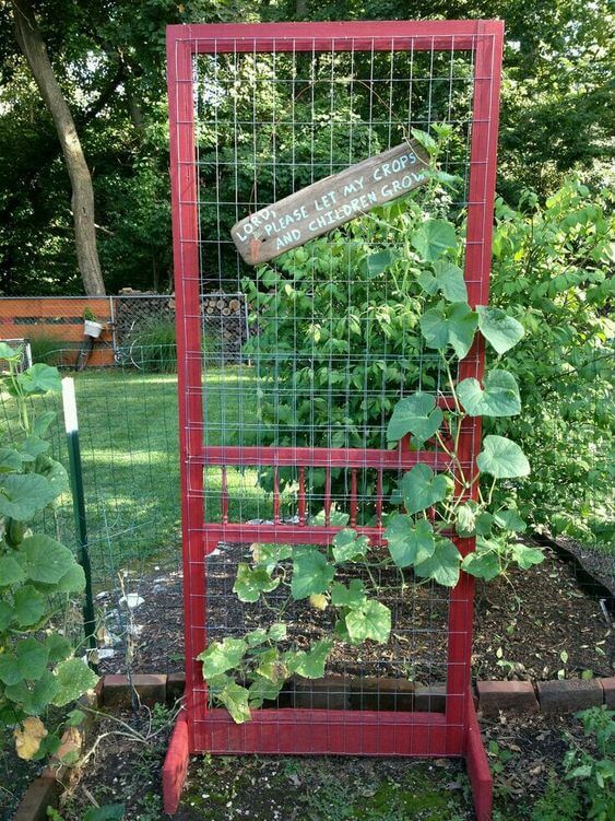 Pea trellis upcycled door | Up-cycled Trellis Ideas For Garden