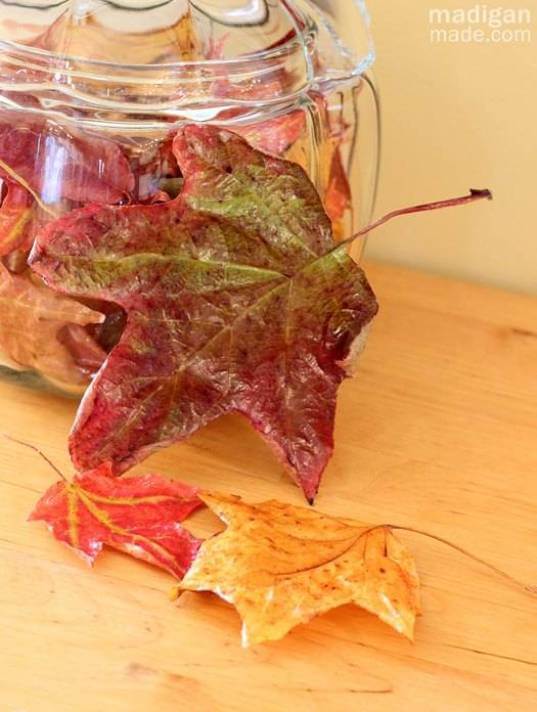 Preserve fall leaves | DIY Fall-Inspired Home Decorations With Leaves - FarmFoodFamily