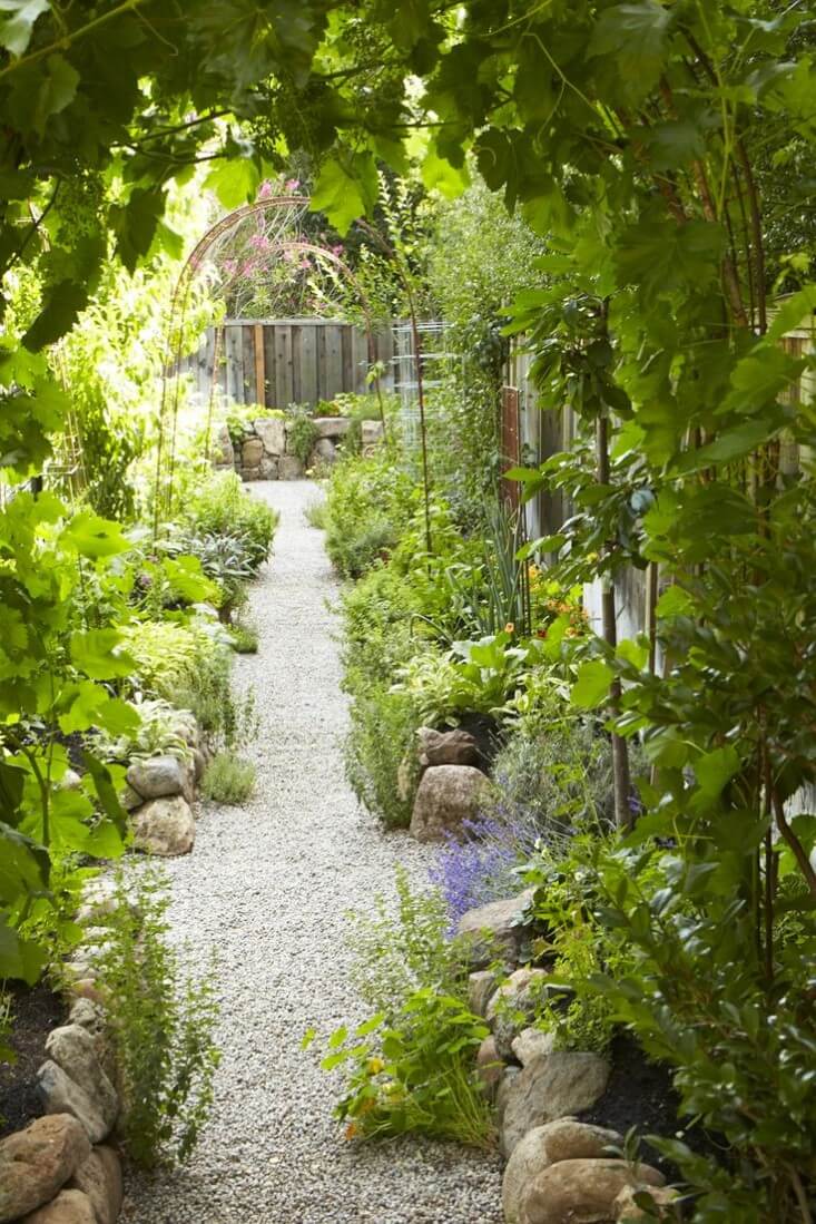 Star Apple Garden | Edging Plants for Kitchen Gardens - FarmFoodFamily.com