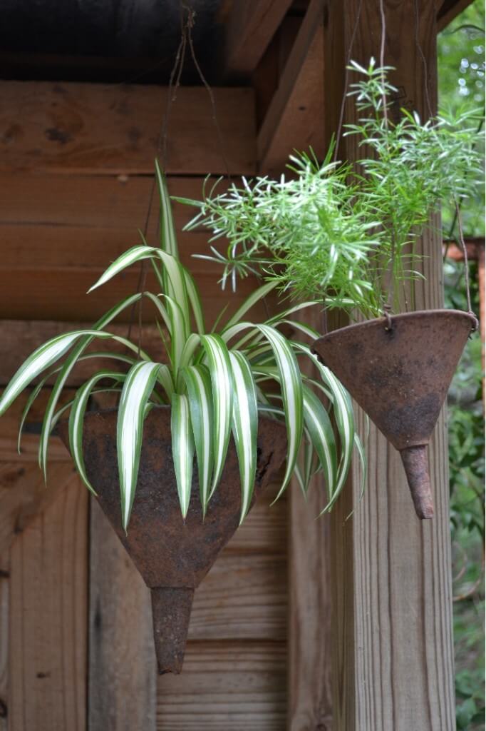 Repurpose Old Funnels For Countrified Containers | Low-Budget DIY Garden Pots and Containers