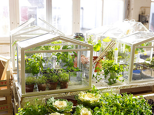 IKEA’s Miniature Greenhouse | Smart Mini Indoor Garden Ideas DIY - FarmFoodFamily.com