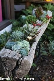 7 tree stump ideas for landscaping