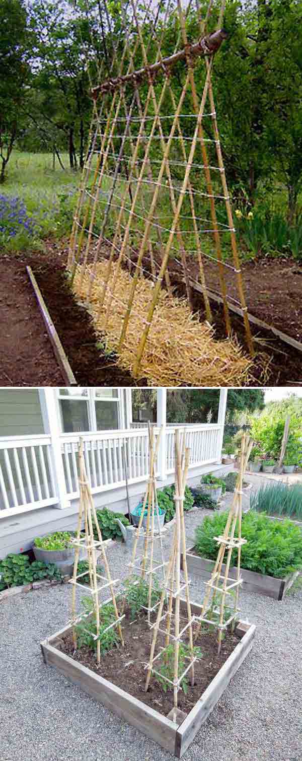Bamboo Tomato Cage | Stunning Bamboo Craft Projects | FarmFoodFamily.com