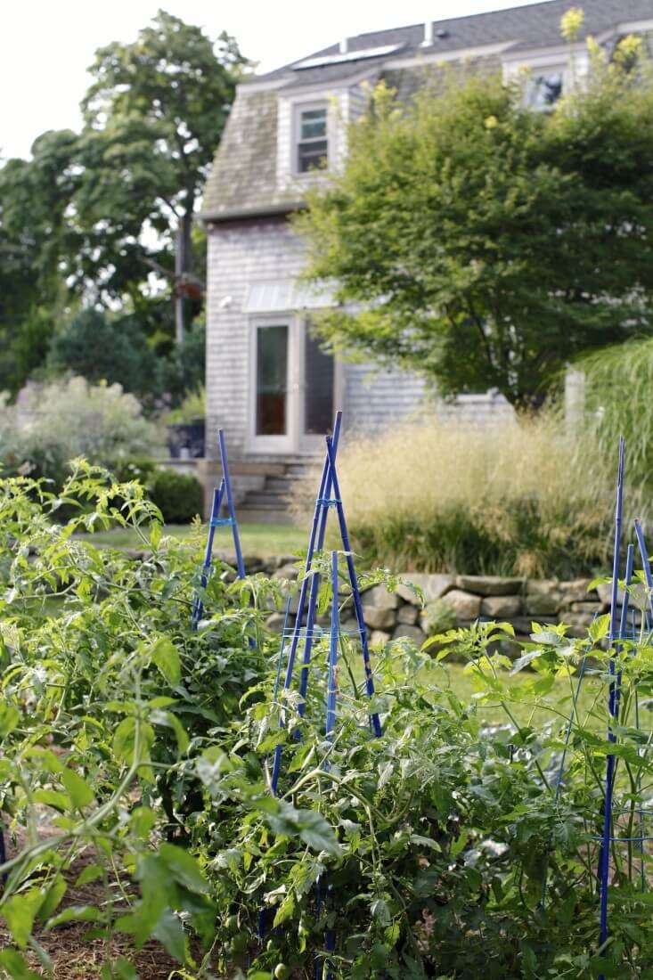 Rhode Island garden’s occasional flashes of color | Edging Plants for Kitchen Gardens - FarmFoodFamily.com