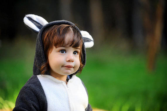 Raccoon suit, raccoon kiss costume | Animal Halloween Costumes for Kids, Adults - FarmFoodFamily.com