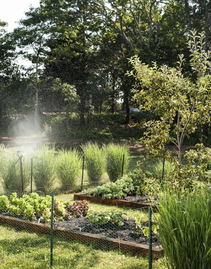 The Cape Cod garden | Edging Plants for Kitchen Gardens - FarmFoodFamily.com