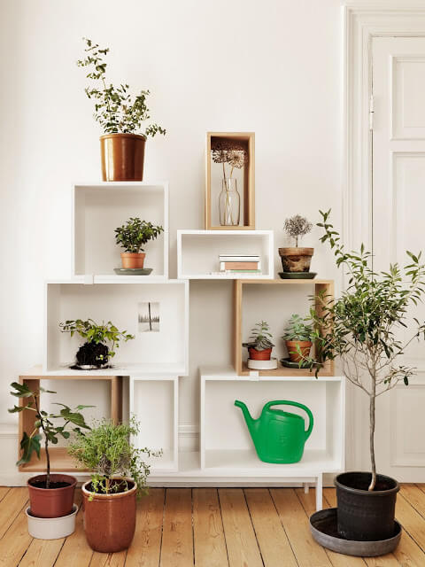 Open shelves | Smart Mini Indoor Garden Ideas DIY - FarmFoodFamily.com