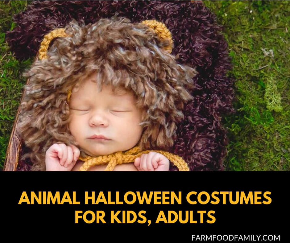 Best Animal Halloween Costumes for kids and adults