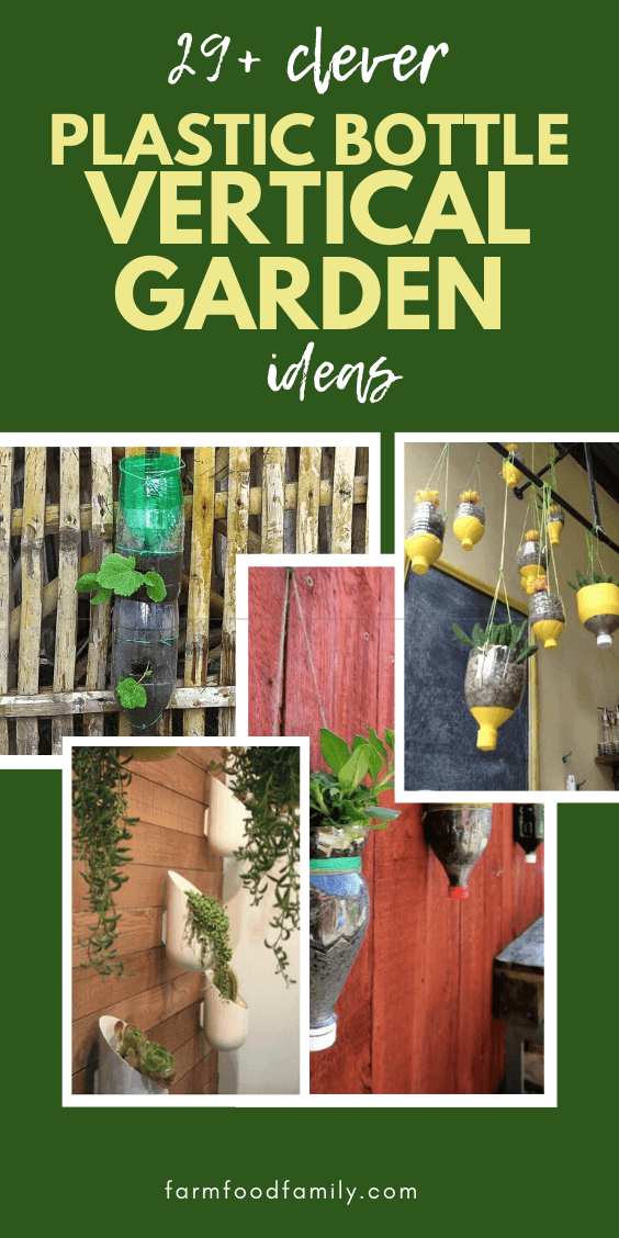 best plastic bottle vertical garden ideas 3