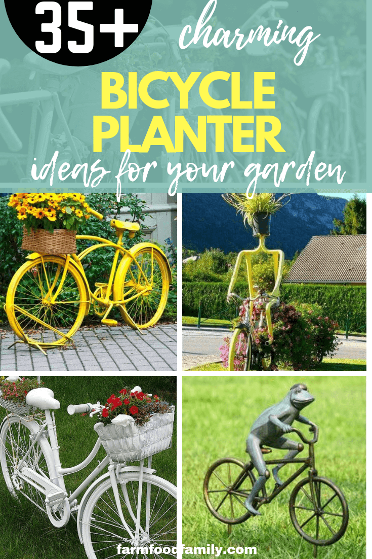 Charming Bicycle Planter Ideas For Your Garden