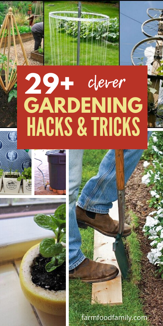 clever gardening hacks tricks 1