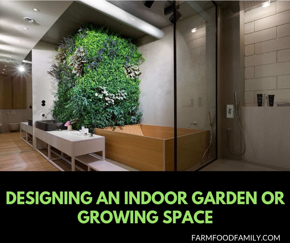 Designing an indoor garden