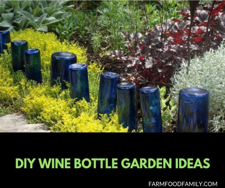 25+ Wine Bottle Crafts Ideas for your garden