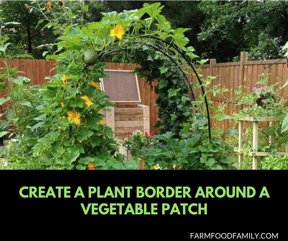 29 Edging Plants for Kitchen Gardens: Create a plant border around a vegetable patch