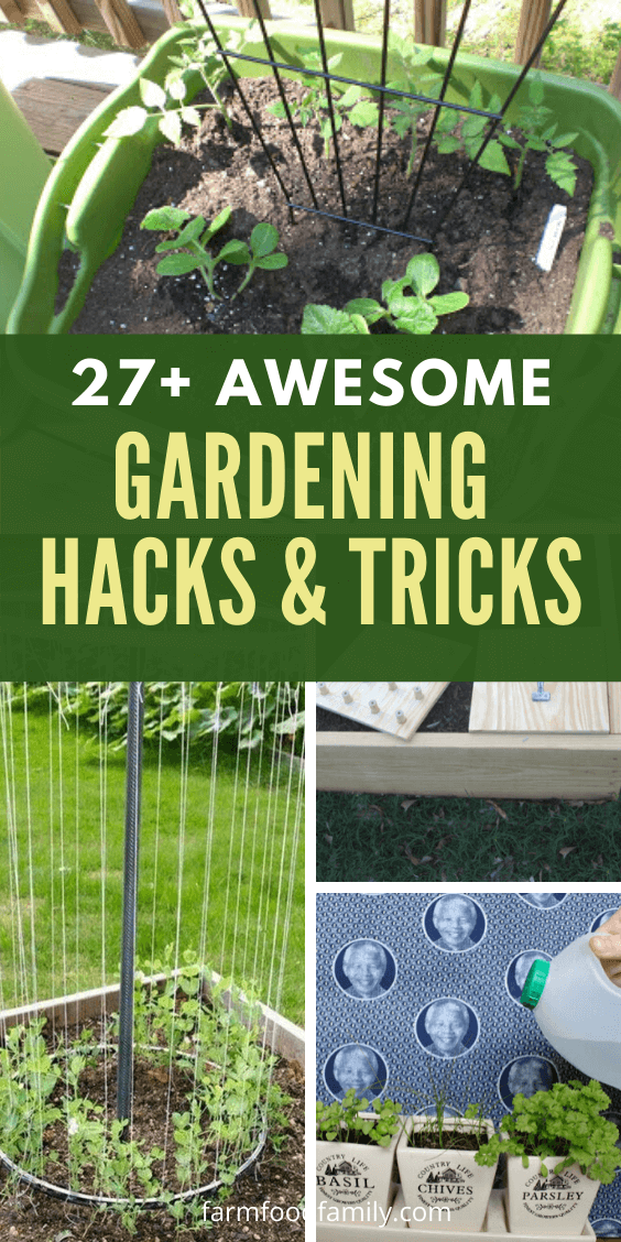 gardening hacks 5