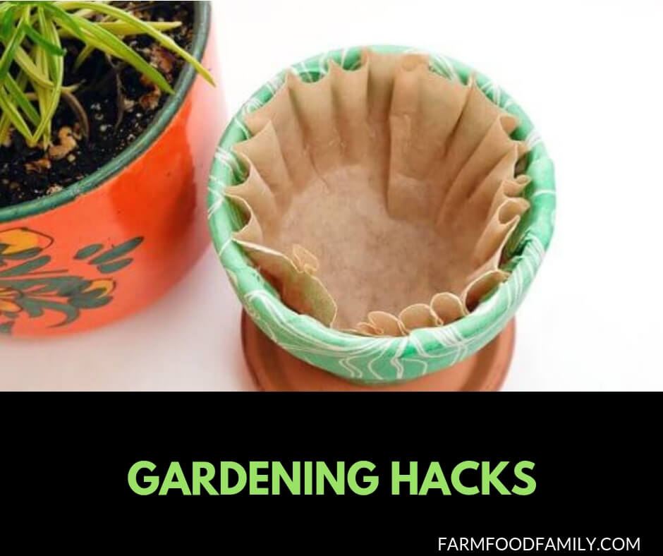 27+ Clever Gardening Hacks that you never thought of