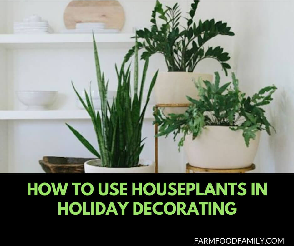 How to use Houseplants in holiday decorating