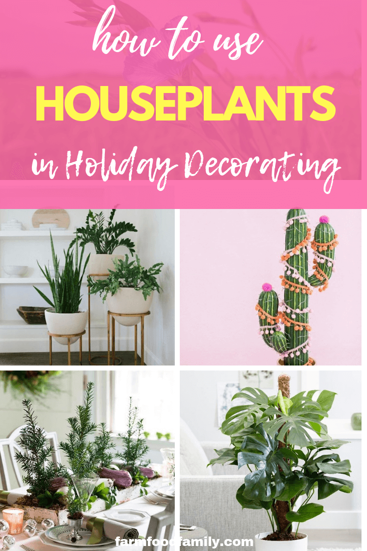 How to Use Houseplants in Holiday Decorating