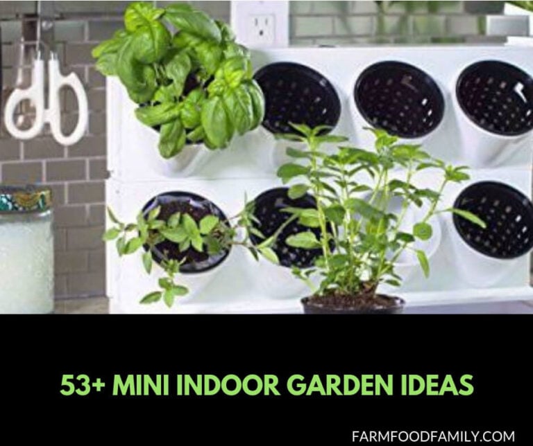53+ Mini Indoor Garden Ideas