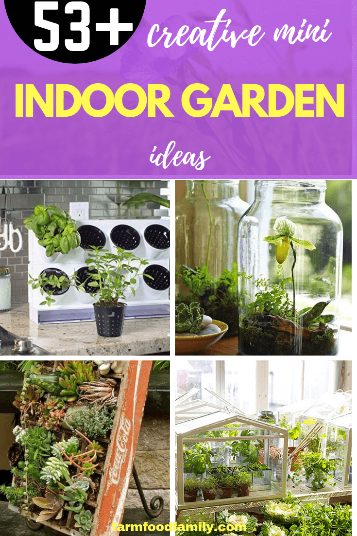53+ Creative Mini Indoor Garden Ideas