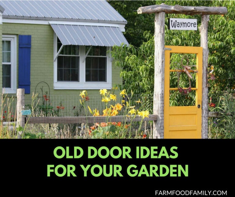 31 Ideas to repurpose your old door