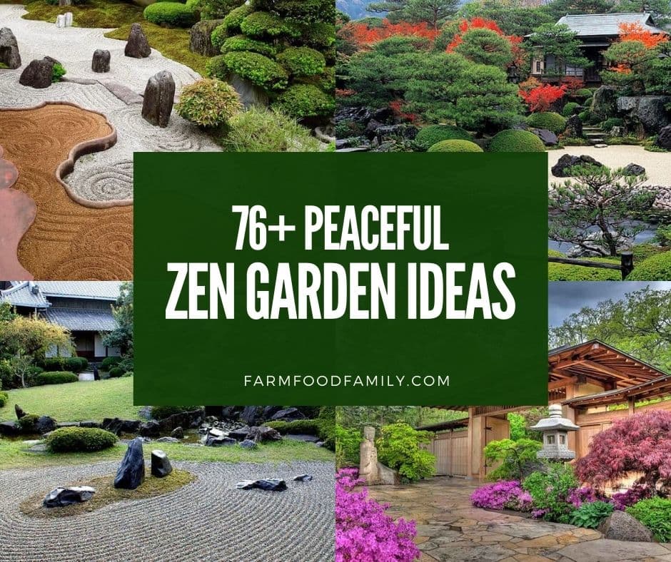 Peaceful Zen Garden Designs And Ideas, What Plants Go In A Zen Garden