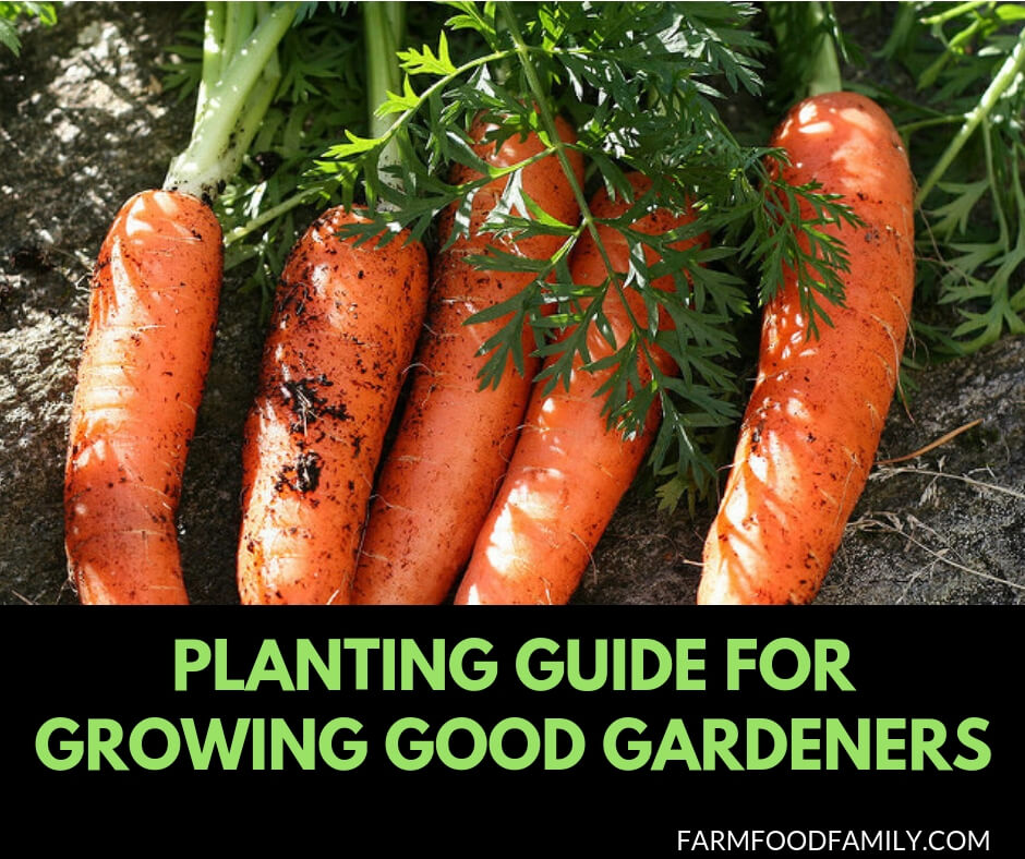 Planting guide for growing good gardeners