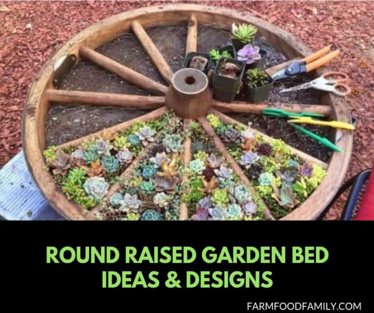 18+ Round raised garden bed ideas & designs