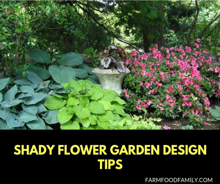 Shady Flower Garden Design Tips: Planning Ideas for Beds or Borders with Little Sun or No Sun