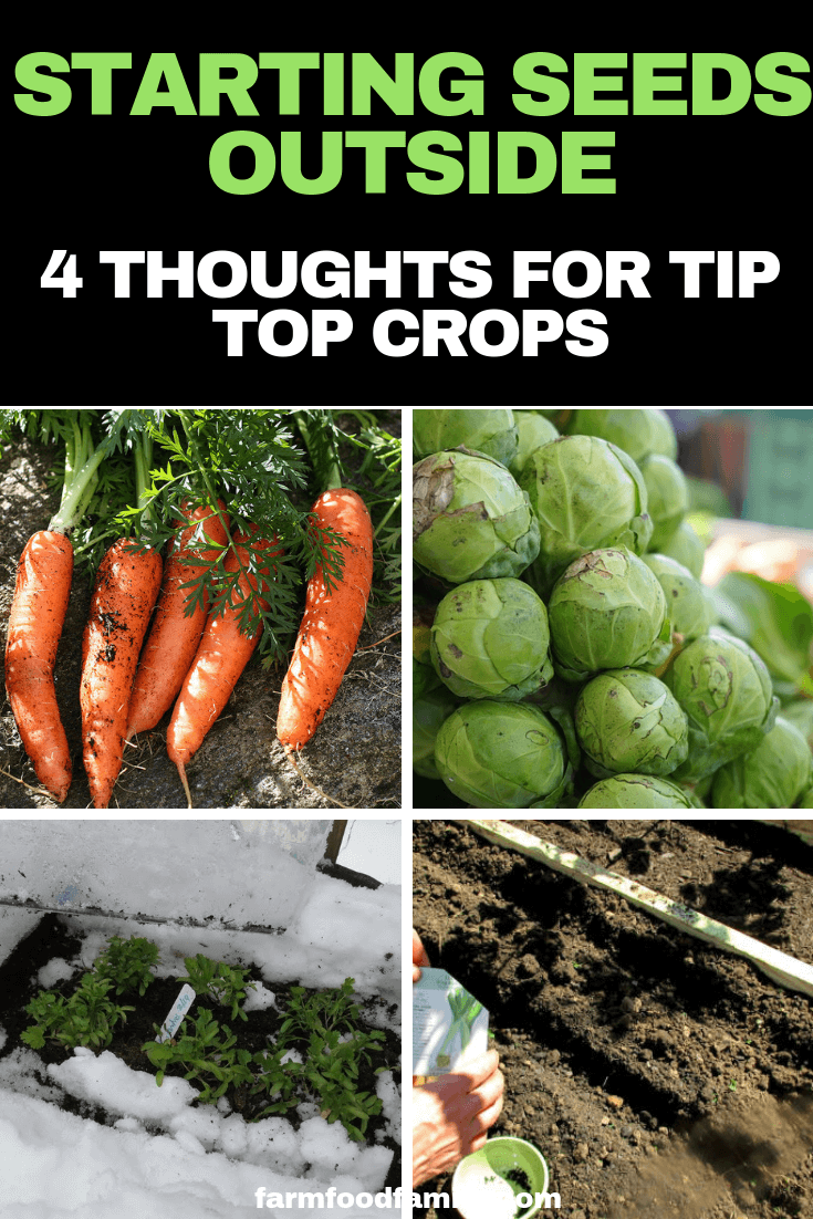 Starting Seeds Outside?  4 Thoughts for Tip Top Crops