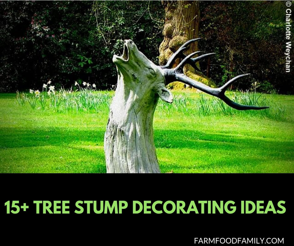 15 Creative Tree Stump Decorating Ideas In Landscape