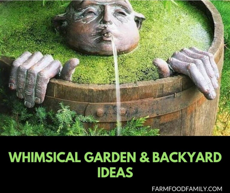 Whimsical garden & backyard ideas