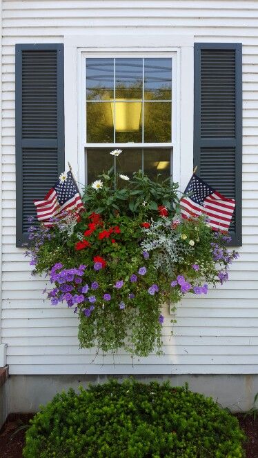 Patriotic Window Box at the Cape, Chatham | Flower Garden Ideas for Containers and Windowboxes