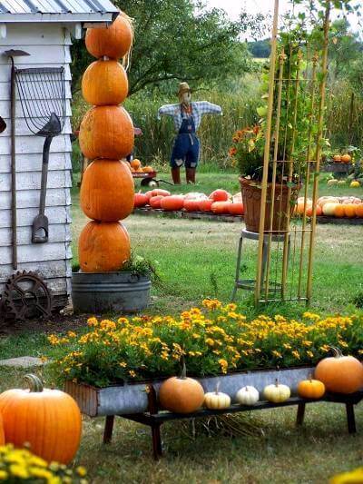 22 fall garden ideas farmfoodfamily