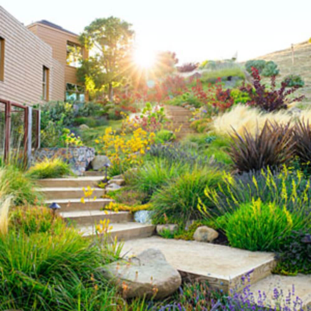 44+ Ideas For Landscape the Yard Without Grass | Alternatives to the Manicured Lawn | FarmFoodFamily.com