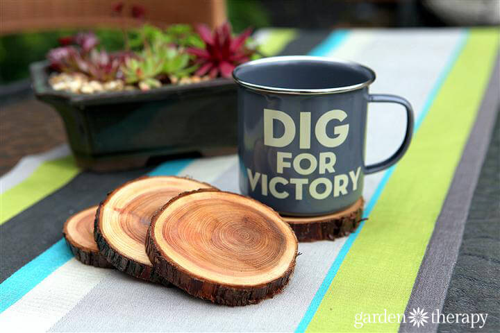 Natural Branch Coasters | DIY Wood Tree Log Decor Ideas - FarmFoodFamily.com